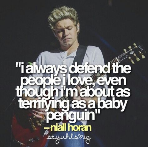 Baby penguin ❤❤❤❤ Niall Quotes, Niall Horan Quotes, One Direction Collage, 1d Quotes, One Direction Drawings, One Direction Jokes, Niall Horan Baby, Harry Styles Quotes, One Direction Images