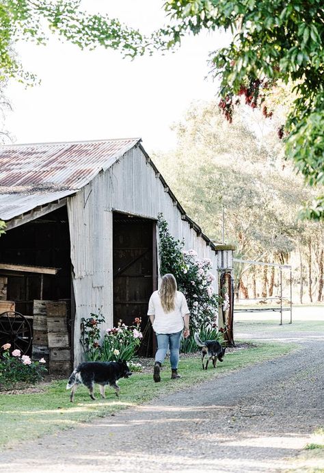 A passion for farming and horticulture traces back almost a century at The Farmstead Tatura in Victoria's Goulburn Valley. Summer Lawn Care, Generator Shed, Garden Shed Ideas, Chicken Shed, Shed Ideas, Homes To Love, Backyard Studio, Country Gardens, Victorian Cottage