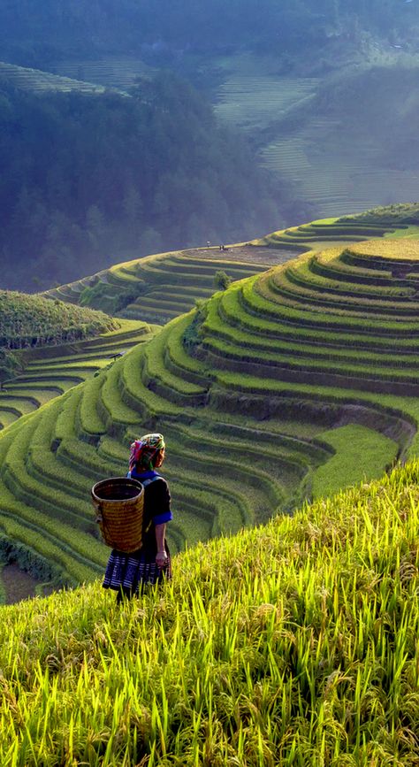 Vietnam Aesthetic, Vietnam Culture, Vietnam Photography, Vietnam Tour, Beautiful Vietnam, Vietnam Art, Sa Pa, Colorful Mountains, Vietnam Tours