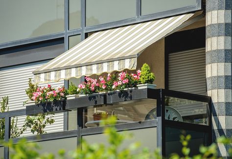 How To Create a Beautiful Balcony in Your Rental Flowers That Like Shade, Balcon Mic, Patio Sun Shades, Backyard Canopy, Outdoor Awnings, Garden Canopy, Outdoor Blinds, Balcony Plants, Window Awnings