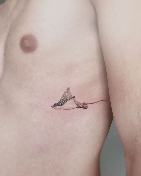 Bat Ray Tattoo, Fine Line Manta Ray Tattoo, Manta Rays Tattoo, String Ray Tattoo, Stingray Tattoo Simple, Sting Ray Tattoo Simple, Eagle Ray Tattoo, Sting Ray Tattoo, Mantaray Tattoo