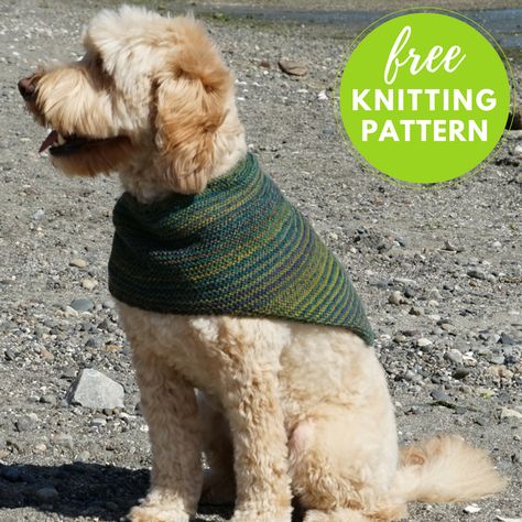 Knitted Dog Accessories, Knitting For Dogs, Dog Bandana Knitting Pattern, Knitted Dog Bandana Free Pattern, Knitted Dog Bandana, Knitting For Dogs Free Pattern, Knitted Dog Scarf Free Pattern, Dog Knitting, Knit Dog Bandana