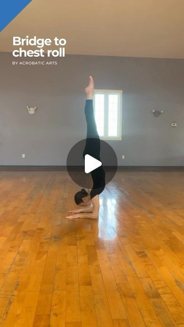 Acrobatic Arts Inc on Instagram: "✨Skill Feature: Bridge to Chest Roll in Level 6 Limbering!

1️⃣ Maintain proper bridge technique

2️⃣ Ensure smooth and seamless transfer of weight through hands and forearms from two feet into chest roll, with fingertips close to heels

3️⃣ Control throughout, legs get vertical and together

4️⃣ Showcase forearm stand with chest reaching forward

5️⃣ Conclude with high cobra position

Remember, mastering progressions leads to mastery of the skill! 🤸‍♀️🤸‍♂️

Explore the AcroDance Resource Center for comprehensive guidance on this skill and hundreds more!" Forearm Stand, Gymnastics, Bridge, Rolls, Heels, Instagram