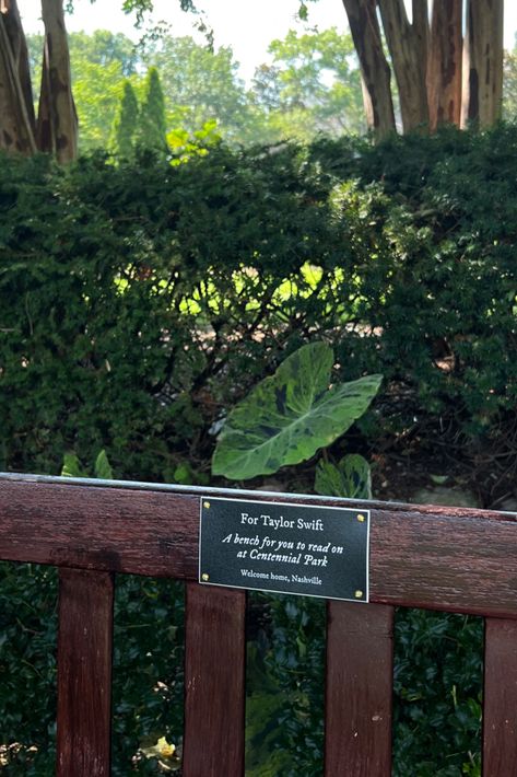 Invisible String, Centennial Park, Taylors Version, Taylor Swift Fan, The Grass, Park Bench, Green Colors, Nashville, To Read