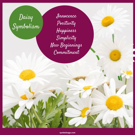 Daisy Quotes Simple, Daisy Symbolism, Birth Flower For April, Plant Symbolism, Flower Symbols, Daisy Quotes, Flower Symbolism, Sunflower Petals, April Birth Flower