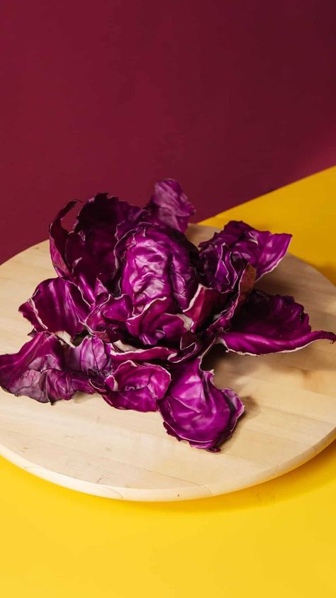 7 Health Benefits of Purple Cabbage Cabbage Benefits, Brassica Oleracea, Purple Cabbage, Reduce Appetite, Good Source Of Fiber, Healthy Digestive System, Fiber Rich, Red Cabbage, Lower Cholesterol