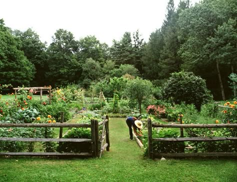 Crafts Recycled, Budget Garden, Potager Garden, Cottage Garden Design, Have Inspiration, Garden Containers, Vegetable Garden Design, Garden Pool, The Secret Garden