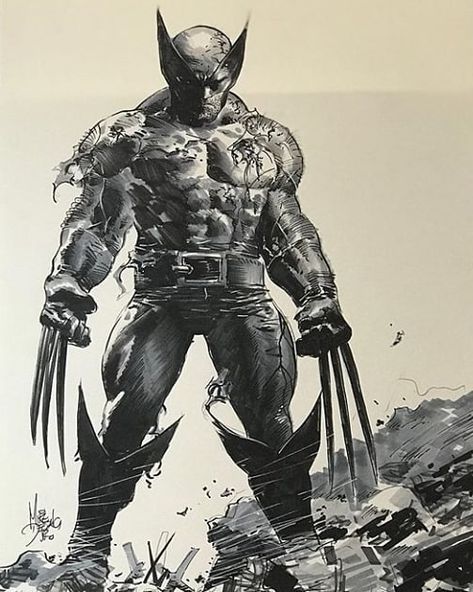 Wolverine Cartoon, Wolverine Artwork, Xmen Art, Wolverine Comic, Mike Deodato, Wolverine Art, Western Comics, Jr Art, Logan Wolverine