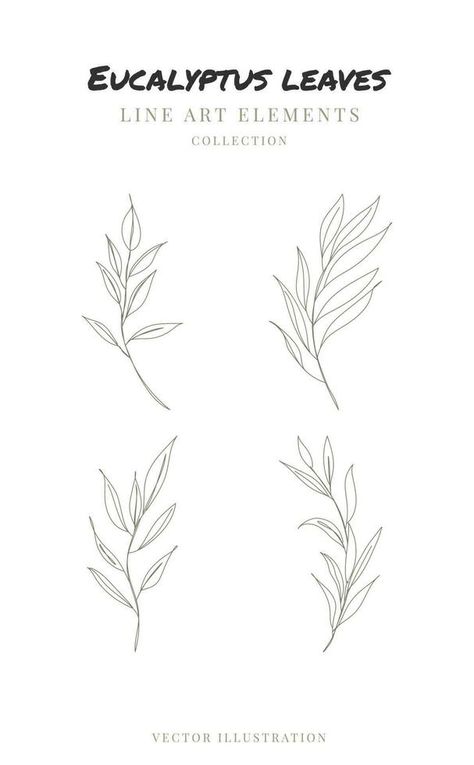 One line drawing of eucalyptus leaves. Hand drawn floral elements line art. Vector illustration Willow Eucalyptus Tattoo, One Line Drawing Leaf, Eucalyptus Vine Tattoo, Eucalyptus Fine Line Tattoo, Eucalyptus Tattoo Design, Fine Line Eucalyptus Tattoo, Eucalyptus Leaf Tattoo, Green Plants Drawing, Eucalyptus Leaves Tattoo