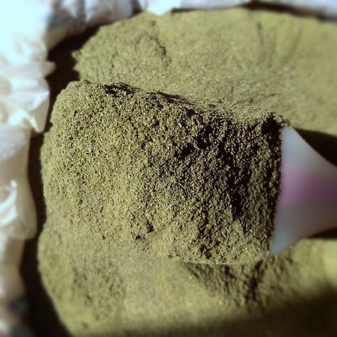 Organic Neem powder available for wholesale and retail. Neem Powder, Scalp Health, Hair Growth, Skin Care, Skin, Health, Hair