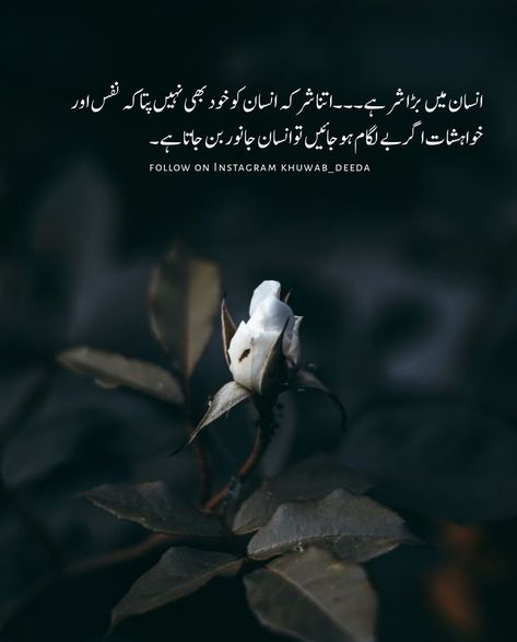 Novels Quotes, Meaning Quotes, Novelist Quotes, Poetry Pic, Quotes Urdu, Poetry In Urdu, Image Poetry, Book Of Poems, Smart Quotes