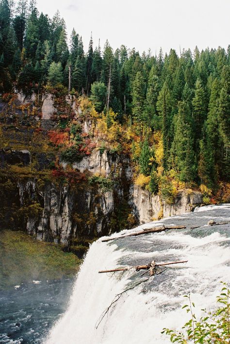 Idaho Landscape, Idaho Travel, Waterfall Landscape, Cappadocia Turkey, Idaho Falls, Autumn Forest, Nap Time, Adventure Awaits, Idaho