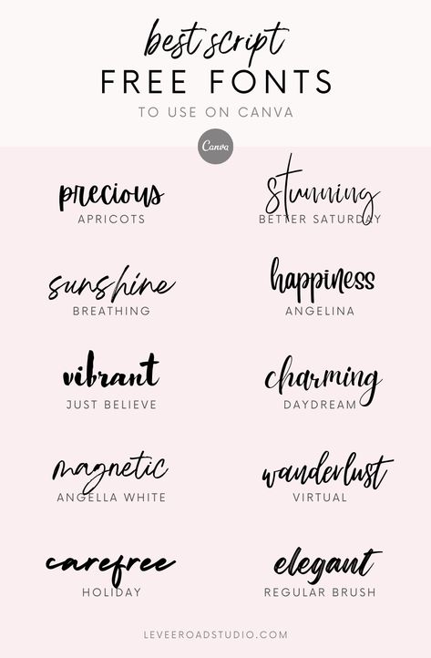 Finding beautiful free fonts to use on Canva can be tricky! Get more fonts and calligraphy ideas and typography inspiration, and wedding fonts at leveeroadstudio.com Cursive Styles, Vinyl Tattoo, Handwritten Alphabet, Best Free Script Fonts, Tattoo Generator, Rustic Fonts, Fonts In Canva, Alfabet Font, Free Handwritten Fonts