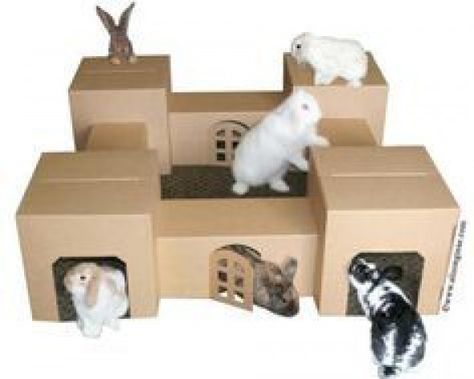 Pet Diys, Diy Bunny Toys, Cardboard Box Houses, Bunny Ideas, Bunny Cage, Pet Rabbit Care, Bunny Hutch, Rabbit House, Bunny Room