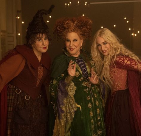 Hocus Pocus 2 Cast, Vinessa Shaw, Disney Halloween Movies, Hermanas Sanderson, Hocus Pocus 1993, Kathy Najimy, Tony Hale, Hocus Pocus Movie, Sarah Sanderson