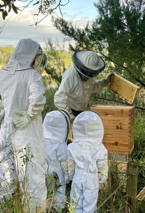 Bee Keeping Aesthetic, Beekeeping Aesthetic, Ways To Help The Environment, Beekeeping Suit, Bee Suit, Micro Farm, Village Ideas, Workout Beginner, Bee Keeping Supplies