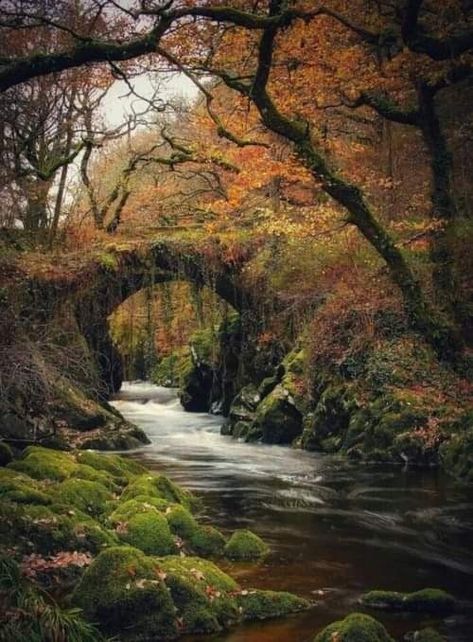 Roman Bridge, Stone Bridges, Old Bridges, World Most Beautiful Place, Moss Covered, Scenery Pictures, Autumn Scenery, Beautiful Places Nature, Jolie Photo