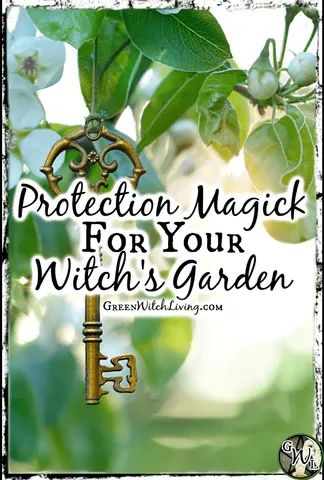 Front Yard Landscape Design, Garden Spells, Green Witch Aesthetic, Witch's Garden, Beginners Garden, Protection Magic, Witchy Garden, Front Yard Landscape, Witch Herbs