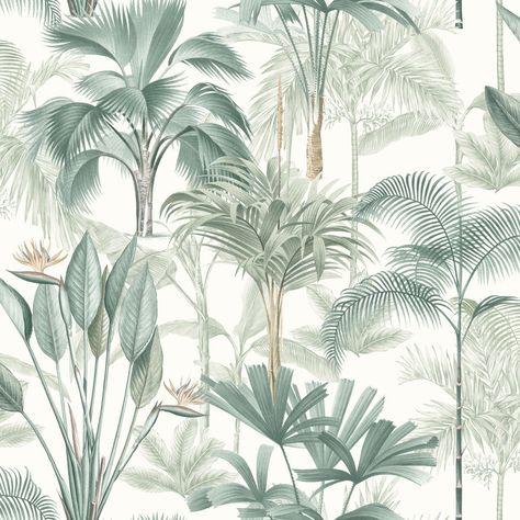 King Palm, Paper Paste, Tropical Trees, Wallpaper Tropical, Palm Leaf Wallpaper, Palm Leaf Design, Palm Green, Palm Wallpaper, College Dorms