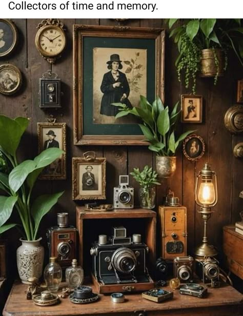 Decorating Display Cabinet, Rustic Boho Design, Old Fashion Decor, Vintage Plant Decor, Vintage Stuff Antiques, Apothecary Bedroom Ideas, Dark Academia Store, Plant Styling Ideas, Vintage Decor Aesthetic