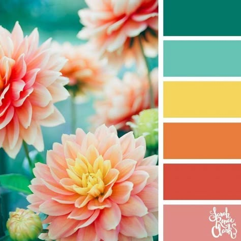 // Explore the beautiful colors of nature with these 25 color palettes inspired by flowers, bouquets and gardens. Find more floral and beautiful color combinations, color schemes and color palettes at sarahrenaeclark.com #colorpalette #colorideas #weddingcolors Wendy Instagram, Modern Fiesta, Realtor Posts, Bookish Design, Retro Indian, Palettes Color, Gel Plate, Color Catalog, Spring Color Palette