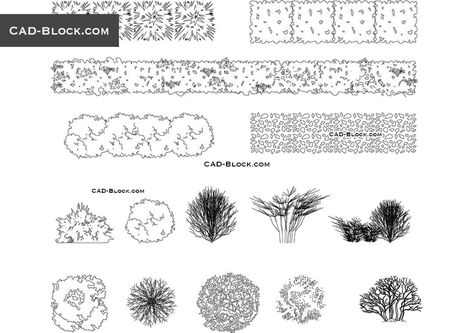 simple planting elevation drawing - Ecosia Bush Drawing, Architectural Trees, Side View Drawing, Plan Elevation, Trees Top View, Landscape Design Drawings, Landscape Architecture Drawing, Tree Plan, Elevation Drawing