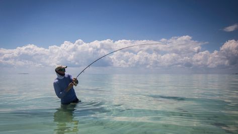 5 Essential Saltwater Fly-Fishing Tips, According to an Expert Fishing Pole Storage, Bass Fishing Videos, Fly Fishing Tips, Saltwater Flies, Fly Fishing Gear, Surf Fishing, Fishing Quotes, Going Fishing, Trout Fishing