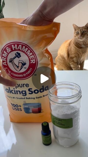 Feminist Kitty on Instagram: "DIY litter box deodorizer recipe ⬇️  Baking soda Jar with a lid Cat safe essential oil blend (I used the brand AnimalEO created by a veterinarian)   Add a few drops of EOs to the baking soda mix and add in your litter robot waste drawer, litter genie, or trash bag to help absorb odors. Do not add directly in your litter box, cats don’t like scented products and it’s unnecessary.#litterbox #litterboxtips #litterrobot #litterboxhack #cattips" Litter Smell Hacks, Diy Litter Genie, Cat Litter Deodorizer Diy, Litter Box Smell Hacks, Litterbox Ideas, Cat Litter Box Diy, Cat Litter Smell, Litter Genie, How To Make Sand