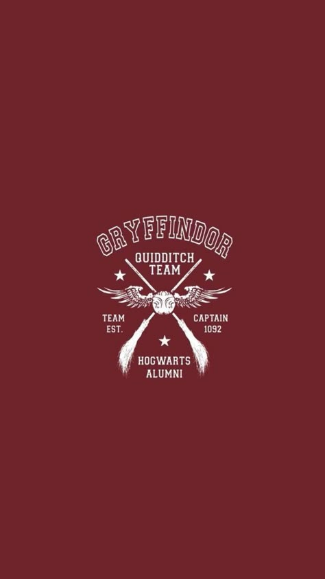 Gryffindor Logo Aesthetic, Quidditch Aesthetic Wallpaper, Eastatic Wallpaper Iphone, Hogwarts Quidditch Aesthetic, Gryffindor Aesthetic Wallpaper Iphone, Gryffindor Wallpaper Iphone, Gryffindor Wallpaper Aesthetic, Quidditch Wallpaper, Gryffindor Aesthetic Wallpaper