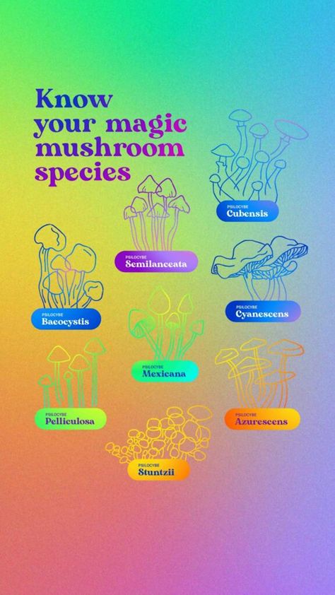 Know what you're dosing: Different species and strains can have dramatically different levels of psilocybin, the hallucinogenic compound. Psychoactive Plants, Growing Mushrooms At Home, Mushroom Species, Mushroom Benefits, Mushroom Grow Kit, Medical Herbs, Mushroom Cultivation, Different Species, Magic Herbs