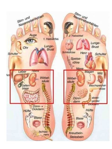 FEET REFLEXOLOGY CHART - Etsy Sweden Feet Reflexology, Reflexology Foot Chart, Foot Reflexology Massage, Hand Reflexology, Reflexology Chart, Reflexology Massage, Foot Reflexology, Skin Care Order, Skincare Organization