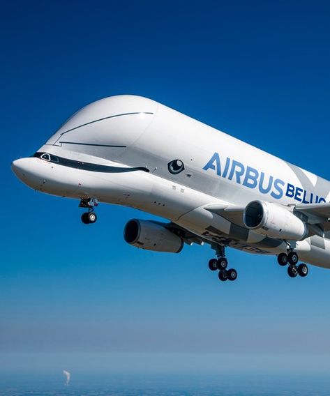 a whale in the sky: the airbus beluga XL takes its maiden flight Beluga Airbus, Whale In The Sky, Airbus Beluga, British European Airways, Plane And Pilot, Airplane Wallpaper, Cargo Aircraft, Aircraft Painting, Passenger Aircraft