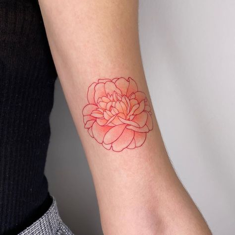 Japanese Camellia Tattoo, Camellia Flower Tattoo, Paris Date, Tiny Flower Tattoos, White Camellia, Camellia Japonica, Blossom Tattoo, Camellia Flower, Ink Ideas