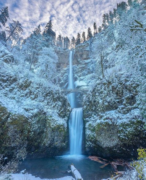 Multnomah Falls Oregon, Oregon Winter, Anime Dpz, Snow Night, Christmas Tree Wallpaper, Oregon Waterfalls, Multnomah Falls, World Nature, Columbia River Gorge