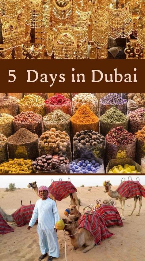 5 Days in Dubai | Must visit attractions | Frequent Traveller Dubai Travel Guide, Dubai Trip, Dubai Vacation, Travel Bucket List Ideas, World Travel Destinations, Dubai Shopping, World Of Wanderlust, Visit Dubai, Dubai City