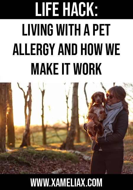 Living With a Pet Allergy and How We Make It Work Dog Allergy Symptoms, Dog Allergy, Kids Allergies, Dog Obsessed, Elderly Dogs, Allergy Asthma, Pet Allergies, Allergy Relief, Dog Allergies