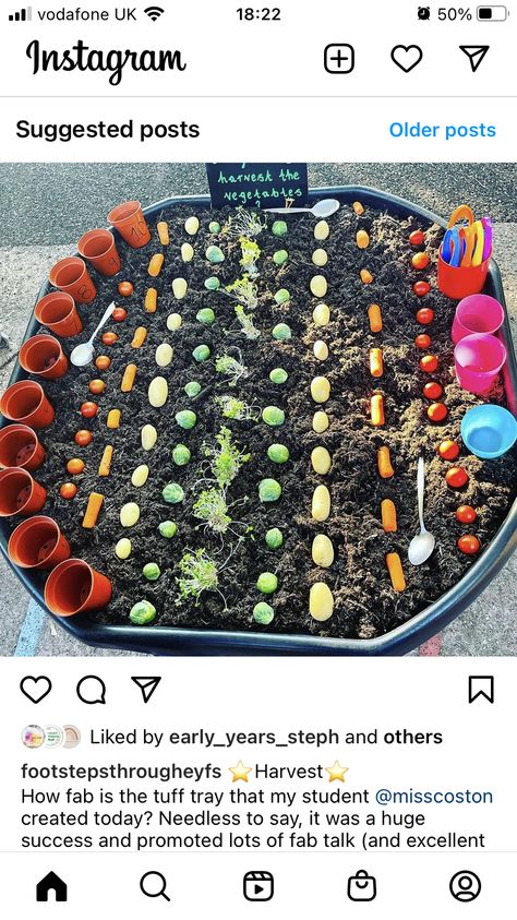 Growing Eyfs, Veggie Patch, Tuff Tray, Tray Ideas, Fall Fruits, Messy Play, Veggie Garden, Fruit And Veg, Learning Resources