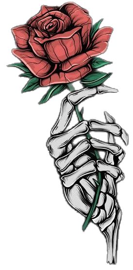 Flor Vector, Skeleton Hands Drawing, Hand Holding Rose, Skeleton Hand Holding, Tattoo Cartoon, Cartoon Rose, Hands Holding Flowers, Skull Icon, Red Cartoon