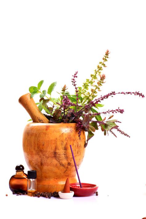 Medicine Knowledge, Plants Types, Ayurveda Hair, Medical Plants, Ayurvedic Plants, Plant App, Ayurvedic Hair Oil, Ayurvedic Therapy, Ayurvedic Diet