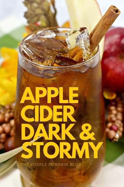 Autumn is here, so why not celebrate with a delicious fall cocktail? Apple Cider Dark and Stormy is a seasonal twist on a classic cocktail and is made with cider instead of the usual ginger beer. So when it's dark and stormy outside, warm up your insides with this alcoholic beverage which contains a delicious shot of spicy rum. #AppleCiderDarkandStormy #FallCocktails #AutumnCocktails #ThePurplePumpkinBlog #Cocktails Apple Cider Dark And Stormy, Fall Dark And Stormy Drink, Spicy Rum Cocktails, Dark And Stormy Cocktail, Mocktails Recipes, Dark N Stormy Cocktail, Rum Drinks Recipes, Rum Tasting, Cider Drinks