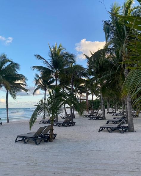 A sneak peak from our recent trip to Mexico! We headed down to Barceló Riviera Maya #mexico #rivieramaya #travel #relaunchretreats Rivera Maya Mexico, Trip To Mexico, Riviera Maya Mexico, April 16, Sneak Peak, Mexico Travel, Riviera Maya, Instagram A, Vision Board