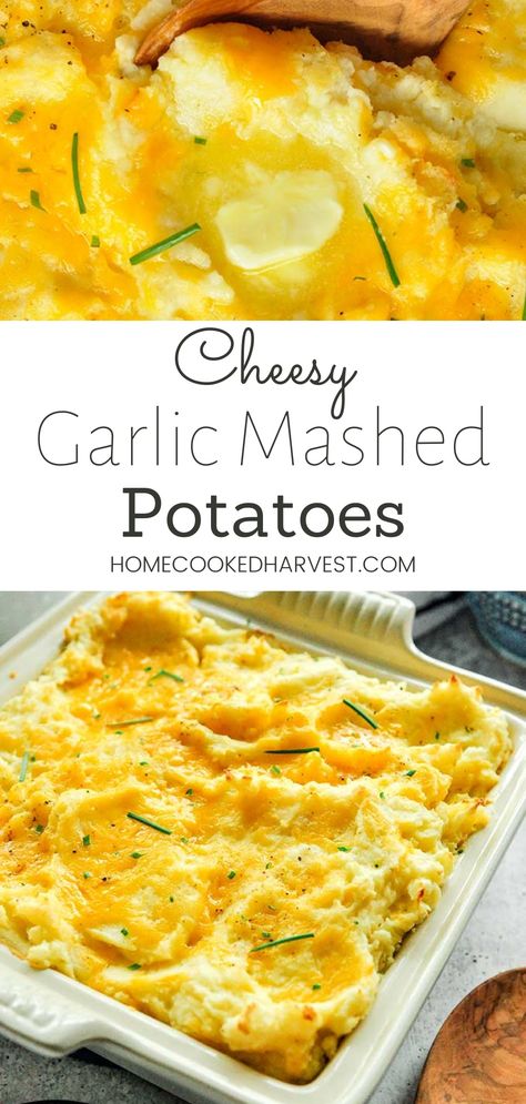 Cheesy Potatoes Mashed, Cheese Garlic Mashed Potatoes, Garlic And Cheese Mashed Potatoes, Garlic Cheddar Mashed Potatoes, Cheddar Cheese Mashed Potatoes, Elevated Mashed Potatoes, Garlic Cheese Mashed Potatoes Recipe, Garlic Cheese Mashed Potatoes, Butter Garlic Mashed Potatoes