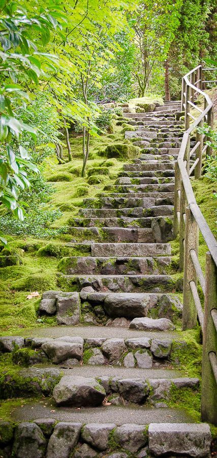 Portland Japanese Garden, Stone Steps, Garden Stairs, Blurred Background Photography, Blur Background Photography, Desktop Background Pictures, Moss Covered, Path Design, Beach Background Images