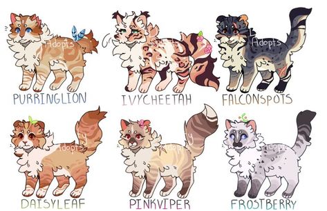 Cat Adopts, Warrior Cat Names, Before And After Pics, Cat Anatomy, Warrior Cats Fan Art, Warrior Cat Drawings, Warrior Cat Oc, Cat Oc, Cat Ideas