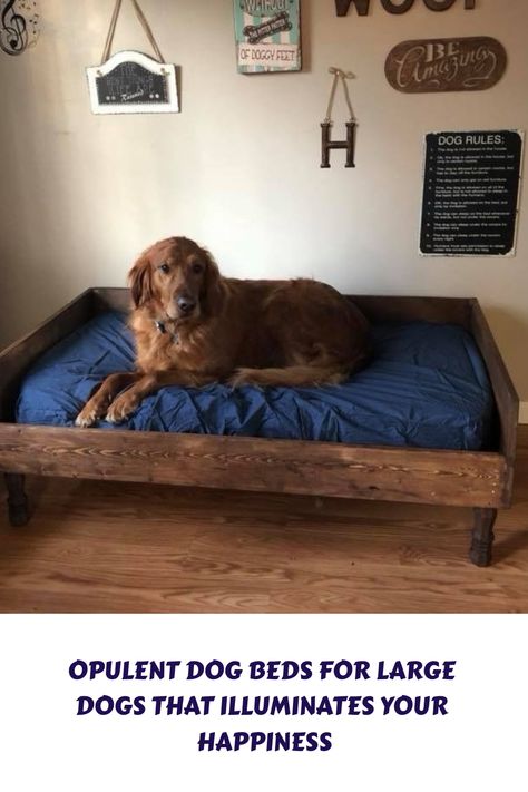 [PaidAd] 32 Trendiest Homemade Dog Beds For Large Dogs Ideas You Have To Try This Winter #homemadedogbedsforlargedogs Dog Bed Made From Pallets Diy, Pallet Wood Dog Beds, Diy Great Dane Dog Bed, Large Dog Bed Ideas Diy, Raised Dog Beds For Large Dogs Diy, Diy Dog Beds For Large Dogs, Diy Dog Couch, Homemade Dog Beds For Large Dogs, Dog Bed Diy Large