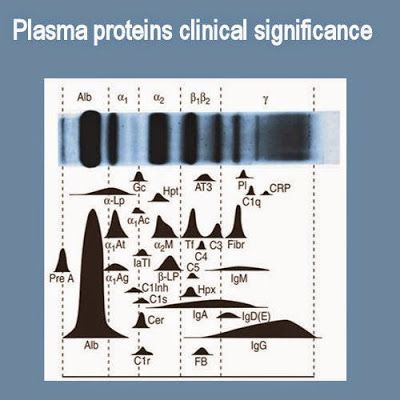 Plasma proteins- Chemistry, functions and clinical significance Plasma Proteins, Medical Technologist, Lab Humor, Medical Laboratory Technician, Clinical Chemistry, Medical Laboratory Scientist, Technology Careers, Medical Marketing, Medical Laboratory Science