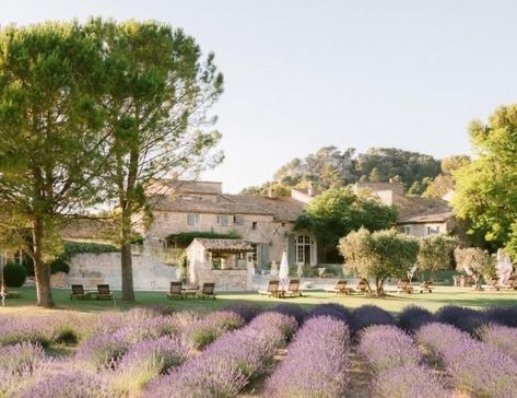 Provence Wedding, Feminine Wedding, Lavender Garden, French Countryside, Spring Fling, Lavender Fields, Stone House, The Ranch, South Of France