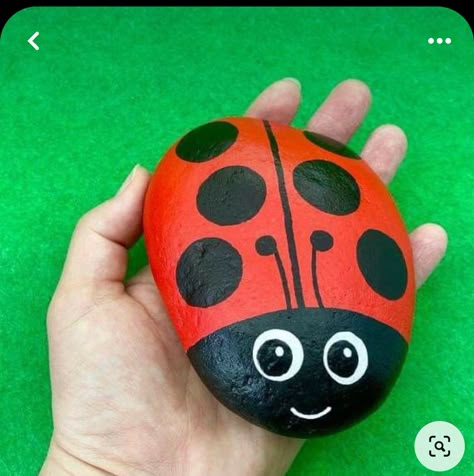 Ladybird Painted Rocks, Ladybird Rock Painting, Rock Painting Ladybug, Ladybug Rocks Painted, Bee Rocks, Ladybug Rocks, Garden Rock Art, Diy Rock Art, Painted Rock Animals