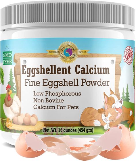 Why Savvy Pet Parents Are Adding Raw Eggs & Eggshells To Their Dogs’ Food! - Rocky Kanaka Can Dogs Eat Eggs, Best Dog Supplements, Easy Protein Sources, Eggs For Dogs, Upset Stomach, Quail Eggs, Can Dogs Eat, Farm Fresh Eggs, Whole Eggs