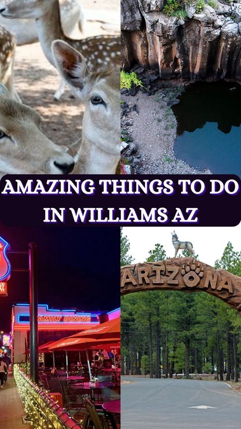 things to do in Williams AZ Things To Do In Williams Arizona, Williams Az Things To Do In, Williams Arizona Things To Do In, Williams Az, Wickenburg Arizona, Williams Arizona, Grand Canyon Vacation, Grand Canyon South Rim, Grand Canyon Arizona